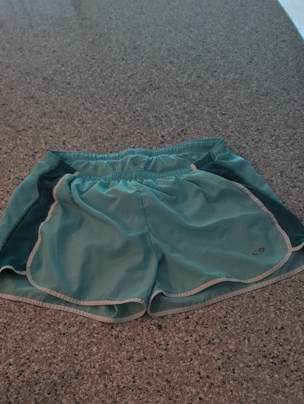 Champion Teal Athletic Shorts with Dark Teal Panels